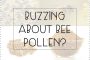 The Scoop on Bee Pollen